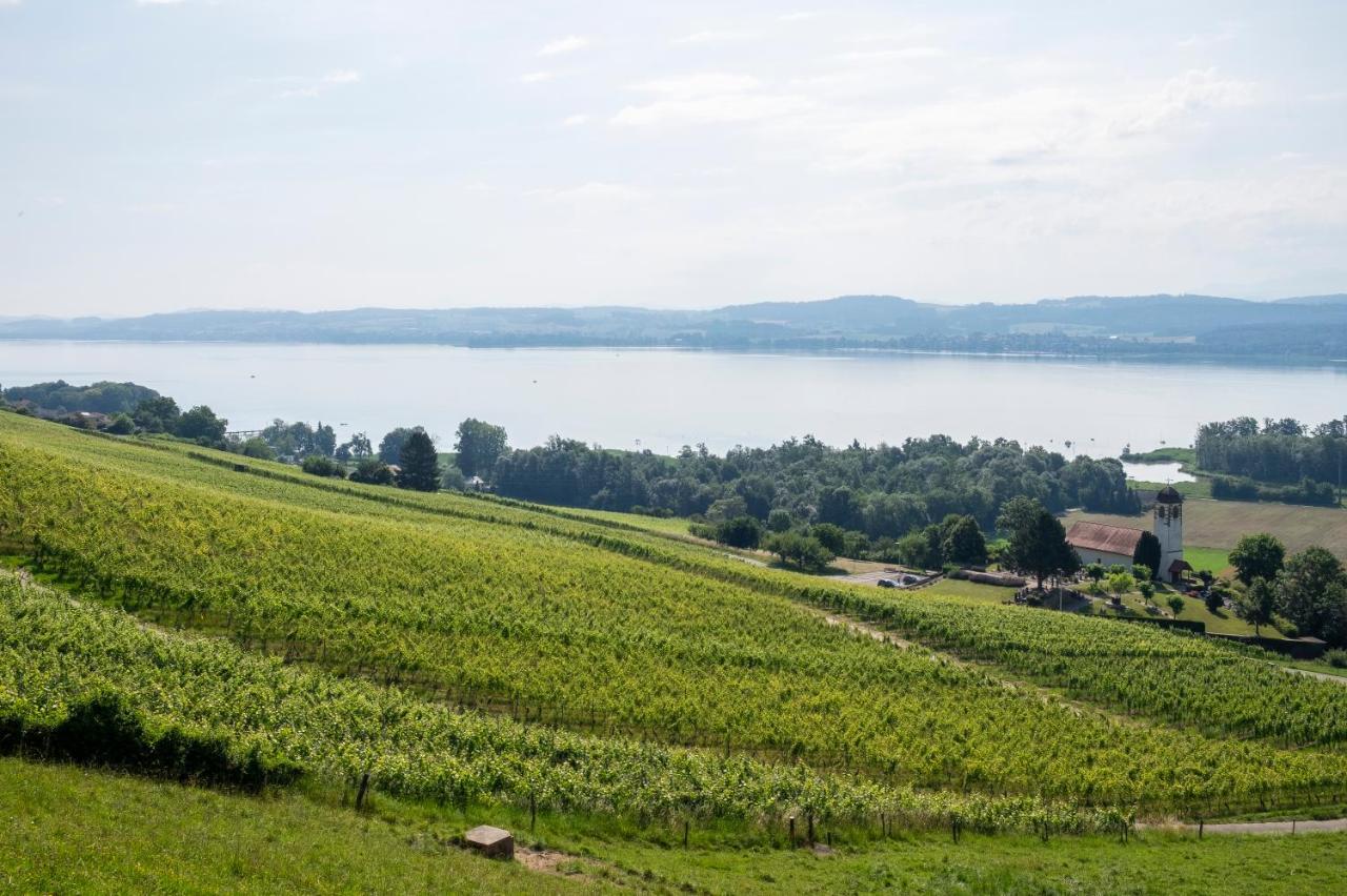 Bnb Belle5 Vully-les-Lacs Eksteriør billede